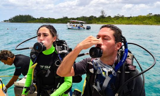 Diving Trip in San Miguel de Cozumel