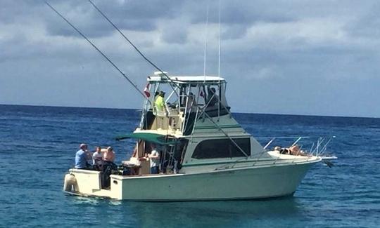 Excursion panoramique en bateau de 36 pieds à Egg Harbor et plongée avec tuba à San Miguel de Cozumel