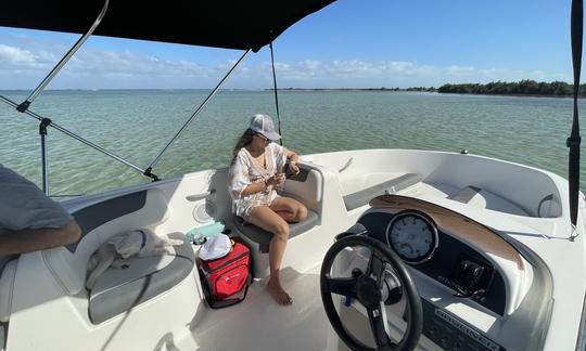 Bayliner Deck Boat Party, propre et facile à conduire, pouvant accueillir jusqu'à 9 personnes