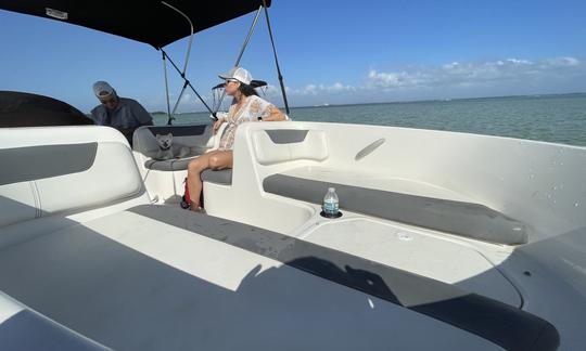 Bayliner Deck Boat Party, propre et facile à conduire, pouvant accueillir jusqu'à 9 personnes