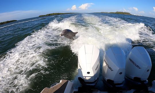 Grande barco de luxo de 35 pés em Fort Myers, Flórida