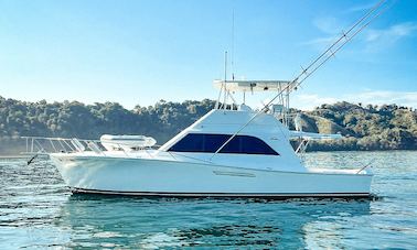 48' Ocean Motor Yacht for rent in Playa Herradura