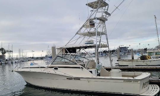 ''Pescado Loco''Atlantic Sportfish Motor Yacht Rental in Islamorada, Florida