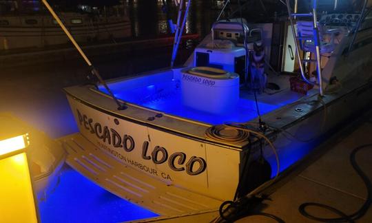 ''Pescado Loco''Atlantic Sportfish Motor Yacht Rental in Islamorada, Florida