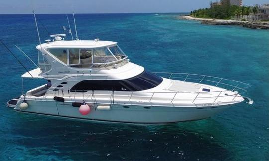 Sea Ray Sedan Bridge 56’ with all inclusive in Cozumel Island, Mexico