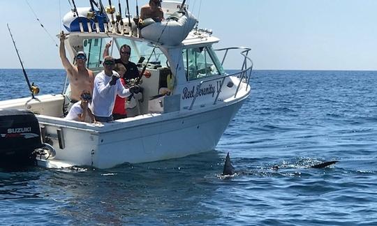 Venha desfrutar de um dia de pesca ou relaxamento a bordo do Reel Serenity 2 (COMBUSTÍVEL INCLUÍDO)