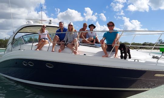 Hermoso Sea Ray Sundancer de 41 pies para alquilar en Naples, Florida