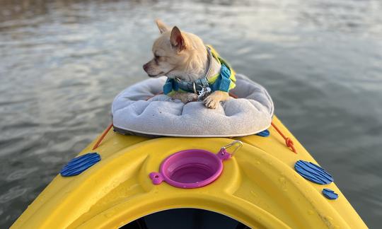 Location de kayak à Boulder City, Nevada