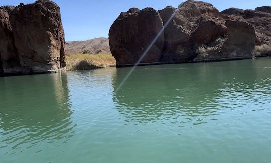 Godfrey Tri-Toon Rental in Lake Havasu City, Arizona