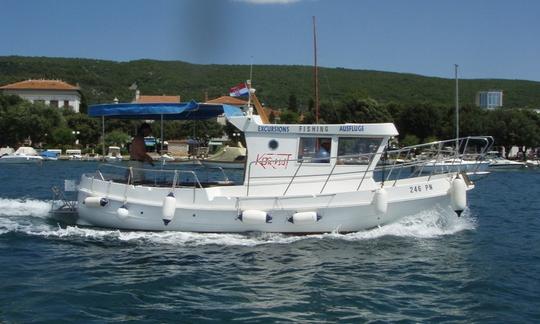 Visite privée en bateau de 28 minutes Majama Pomenić à Punat-Kroatia