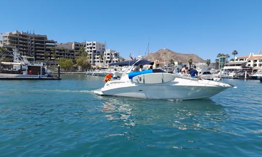 Location de yacht à moteur S.R.Sundancer de 32 pieds à Cabo San Lucas, Baja California Sur