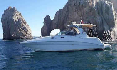 Beau yacht Sea Ray Sundancer de 32 pieds à Cabo San Lucas