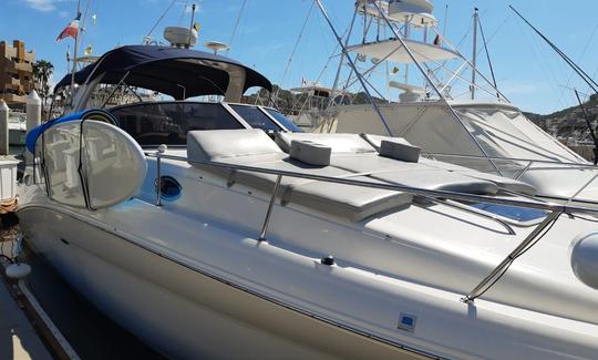 Bonito yate Sundancer Sea Ray de 32 pies en Cabo San Lucas