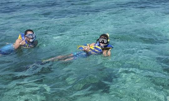 Excursão de mergulho com snorkel de 32 pés na Ilha Proline 4 nas Bahamas!