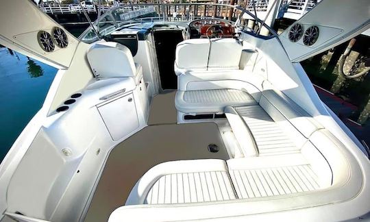 ☀️ Yacht à moteur Bayliner de 32 pieds en croisière dans la baie d'Emerald, ☀️ Offre spéciale du mois de juin ☀️