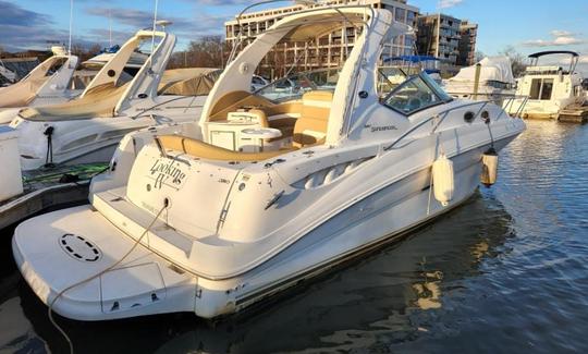 Alquile el yate a motor Sundancer de 34 pies en Washington, DC