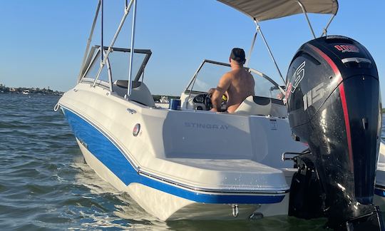 BOAT FUN IN THE SUN - Stingray Fun