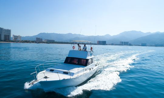 Convertible 42' Fishing Boat In Puerto Vallarta, Mexico