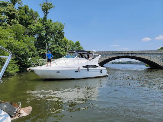 Monumental Cruiser | 37ft Carver Yacht for 12 passengers