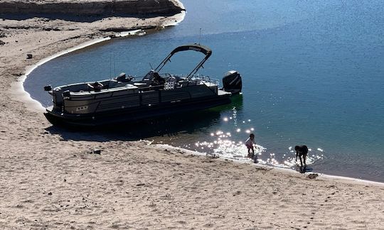 Laughlin: pontón de lujo Regency Sport de 25 pies para chárter GB01