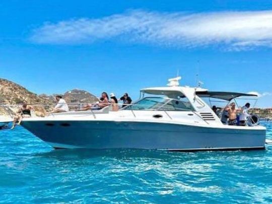 40 pieds en mer à Cabo San Lucas, au Mexique ! ! !