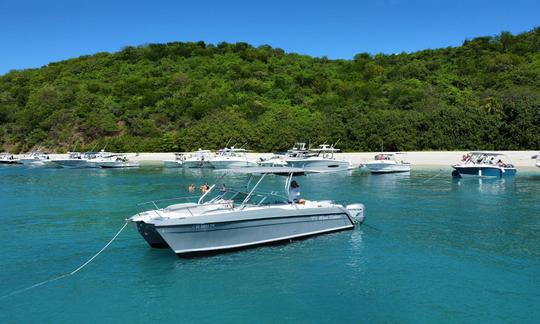 Location de catamaran à moteur Glacier Bay à Fajardo, Porto Rico - Voyage tout compris