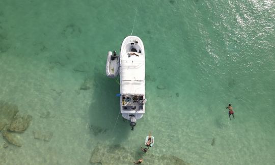 Private Tour Boat for 6 people in Fajardo