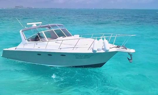 Alquiler de yate a motor Sea Ray de lujo de 42 pies para hasta 8 personas en Cancún