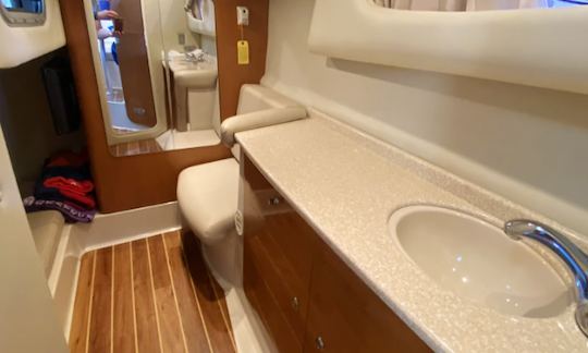 Chaparral 330 Signature Motor Yacht Rental in Austin, Texas