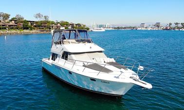 Spacious Modern 40ft Luxury Power Yacht in Marina del Rey, Los Angeles