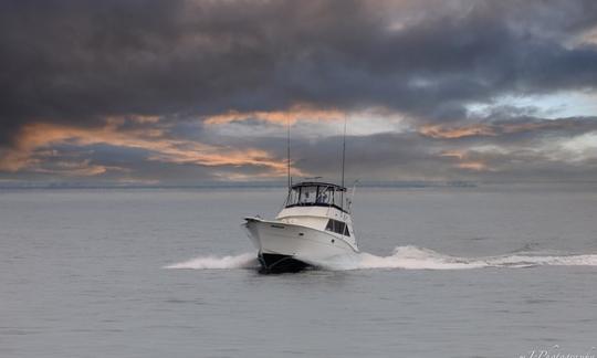 Viagem de pesca costeira/offshore na praia de Norfolk/VA com o capitão Lou