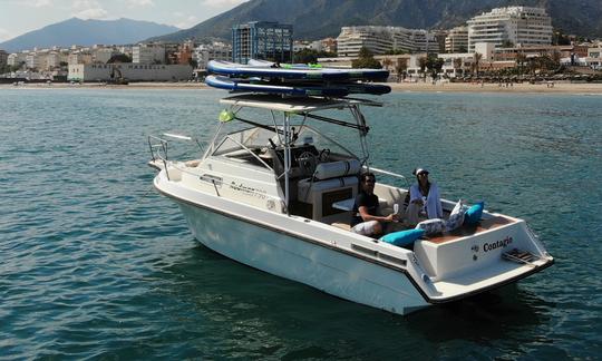 Aventura de barco em Stand Up Board! Capitão, combustível e refrigerantes incluídos