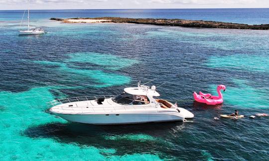 Enjoy the pristine waters of Bimini or cruise Fort Lauderdale