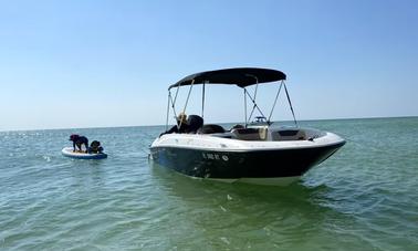 19ft Bayliner Element Deck Boat for rent in Anna Maria Island