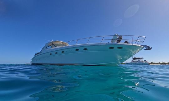 Impresionante yate Sea Ray Sundancer de 51 pies para alquilar