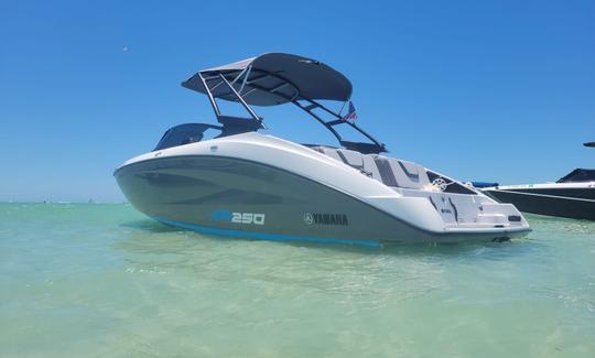 Aproveite este NOVO Bowrider de 2022 de 25 pés na costa ou no golfo perto de RIVERVIEW