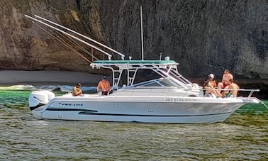 Venha e desfrute de um dia de pesca em puerto vallarta PRO LINE 30