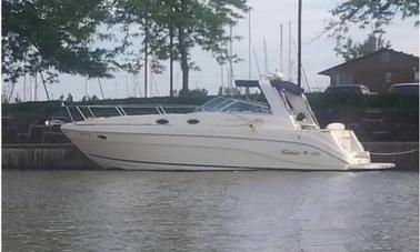 36ft cruiser Motor Yacht Rental in Lewisville, Texas