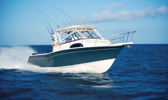 Grady White Marlin Motor Yacht Rental in Cedar Point, North Carolina