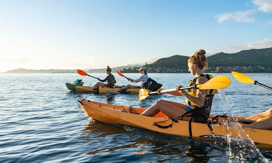 Aventure autoguidée en kayak sur le récif corallien de la baie de Kaneohe