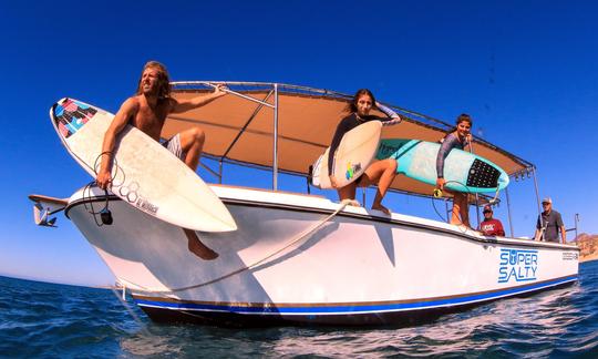 Safári de surf de barco em San José del Cabo, Baja California Sur