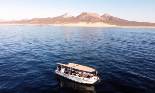 Safári de surf de barco em San José del Cabo, Baja California Sur