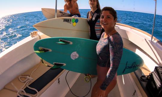 Safári de surf de barco em San José del Cabo, Baja California Sur