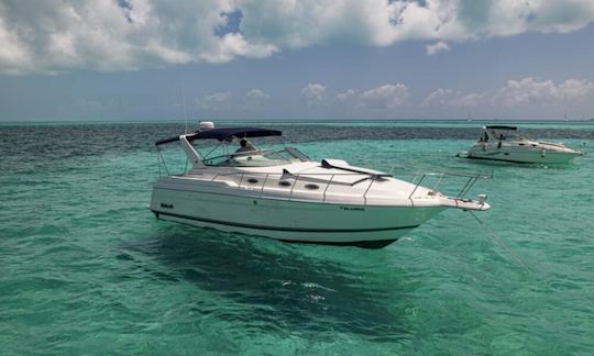 Wellcraft Will Motor Yacht Rental in Cancun, Mexico