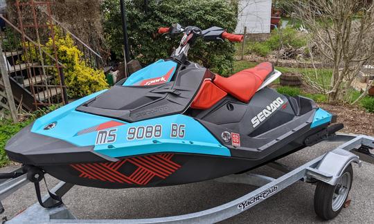 Sea-Doo Spark Trixx, 2 seater for rent on Moose Pond