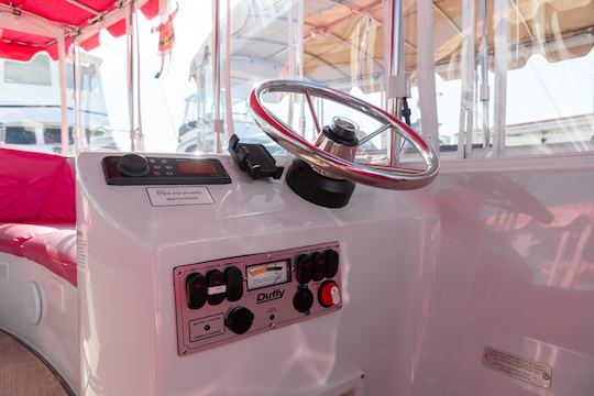 21ft Pink Electric Duffy Boat in Huntington Beach