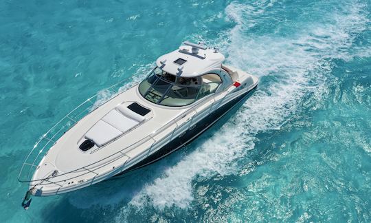 44ft Sea Ray Sundancer Motor Yacht Rental in Quintana Roo, Mexico