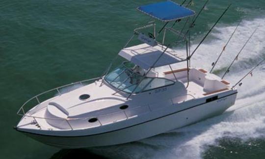 Gulf Craft Sport Fishing 35, 2000
Volvo penta Twin engine 
Cruising speed 25 knots