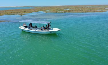 2H Birdwatching in Solar Boat Ria Formosa in Faro, Portugal