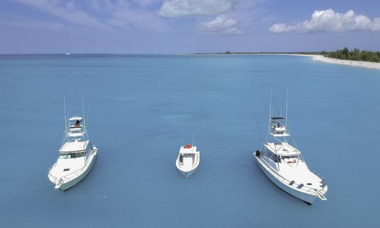 Carta de pesca en alta mar de medio día con el programa «Angler Management» en las Islas Turcas y Caicos